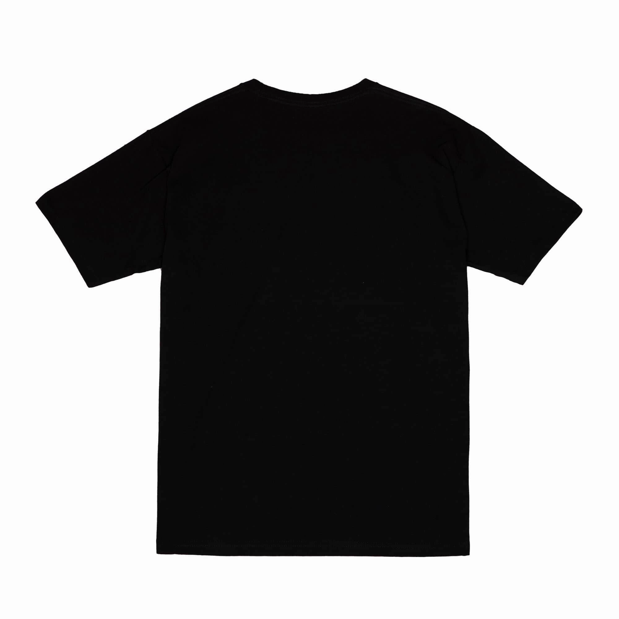 Men's Charlotte Hornets NBA Legendary Slub Black Tee By Mitchell And Ness