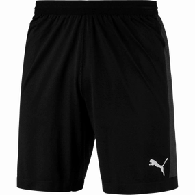 Men's Final EVOknit Shorts
