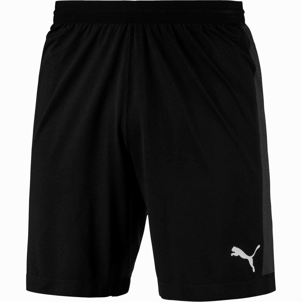 Men's Final EVOknit Shorts