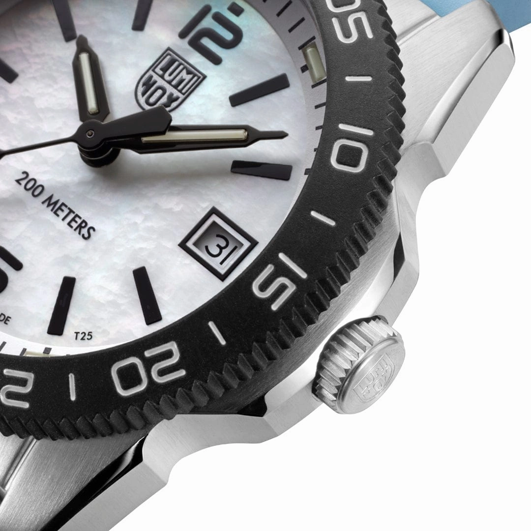 Pacific Diver, 39 mm, Diver Watch - 3124M