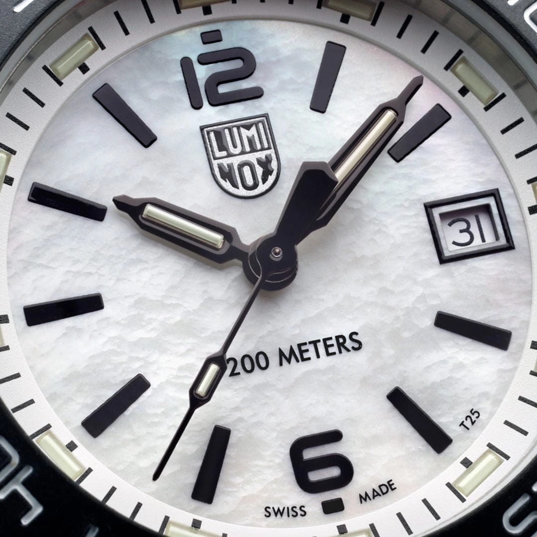 Pacific Diver, 39 mm, Diver Watch - 3124M