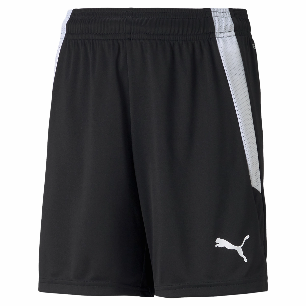 Youth Team Liga Shorts