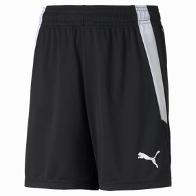 Youth Team Liga Shorts