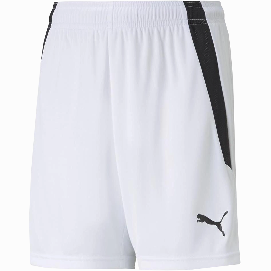 Youth Team Liga Shorts